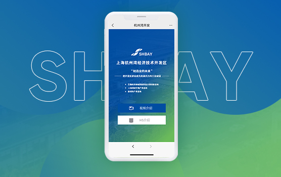 上海杭州灣經(jīng)濟技術開發(fā)區(qū)